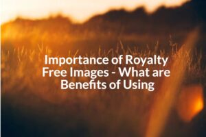 importance of royalty free images